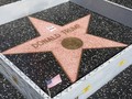 Pria Rusak Bintang Trump di Walk of Fame, Didenda Rp288 Juta