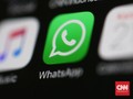 WhatsApp Setop Dukung iOS 8 dan Android Gingerbread