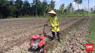 Anak Petani Emoh Jadi Petani