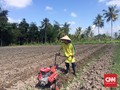 Anak Petani Emoh Jadi Petani