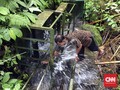 Menjaga DAS Ayung Dengan Gerakan Sanitasi