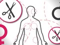 Operasi Plastik dalam Angka