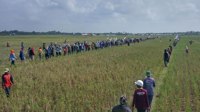 Benteng Terakhir Sukamulya Melawan Gempuran Penggusuran