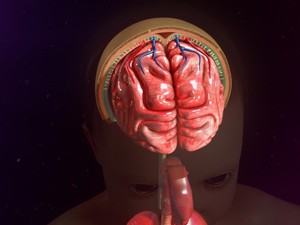 Meningitis: Penyebab, Gejala, Pengobatan, dan Pencegahannya