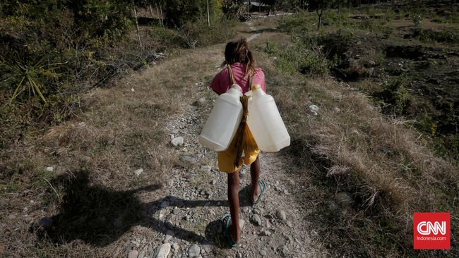 Tokoh Adat NTT: Pemerintah Lamban Selesaikan Sengketa Naktuka