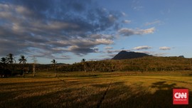 Festival Cross Border Atambua 2018 Bidik Wisman Timor Leste