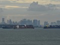 BP Batam Gemas Lihat Banyak Lahan Nganggur di Batam