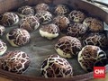 Uniknya 'Jamur Shiitake' Jumbo di Selangor