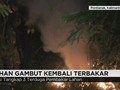 Polisi Tangkap 3 Terduga Pelaku Kebakaran Lahan Gambut