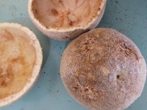 Ini 5 Buah Eksotik Asia yang Belum Populer, Kawista hingga Matoa