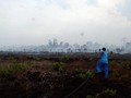APSL Diduga Terlibat Penyanderaan Pegawai KLHK di Riau