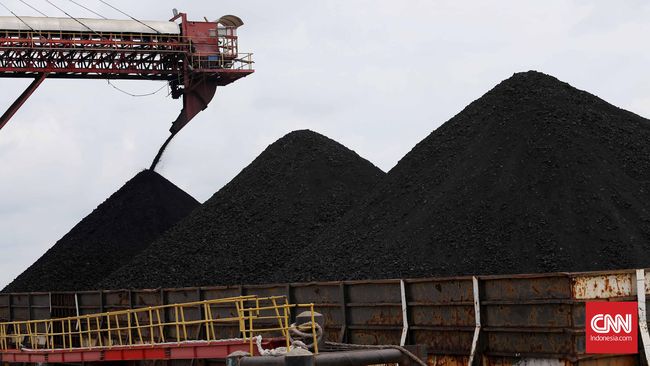 Untung-Rugi PP Harga 'Spesial' Batu Bara Domestik