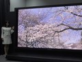 Panasonic Boyong TV 4K Terbaik Dunia ke Indonesia