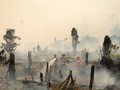 Negara Gagal Jamin Hak Korban Kebakaran Hutan Selama 18 Tahun