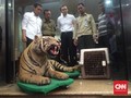 Polisi Sita Satwa Dilindungi dari Rumah Gatot Brajamusti