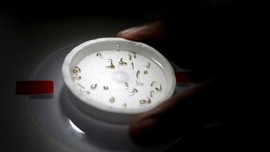 Peneliti Temukan Dua Virus Mirip Zika