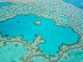 Ada Karang Besar Tersembunyi di Balik Great Barrier Reef