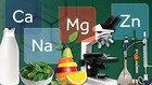 Mineral-mineral Penting untuk Daya Tahan Tubuh