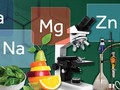 Mineral-mineral Penting untuk Daya Tahan Tubuh