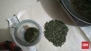 Polisi Amankan Penyelundupan Ganja Kering Siap Pakai di Riau