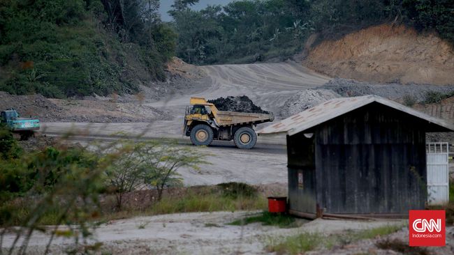 OJK dan BI Diminta Turun Tangan Blokir Usaha Tambang 'Nakal'