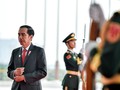 Pak Jokowi dan Cengkeraman Para Tuan Tanah