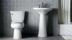 Tak Hanya Layak, Toilet Perlu Dibuat Nyaman Agar Sehat