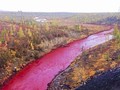 Sungai di Rusia Berubah Warna Jadi Merah Darah