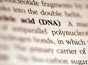 Wanita Ini Tes DNA gegara Tak Mirip Ayahnya, Hasiilnya Bikin Kaget