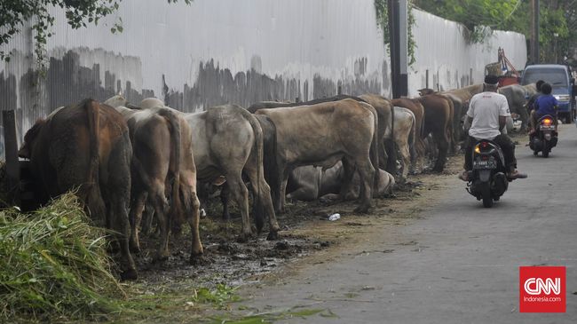 Pedagang Kurban Musiman Dilarang Jualan di Trotoar Jakarta