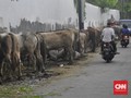 Pedagang Kurban Musiman Dilarang Jualan di Trotoar Jakarta
