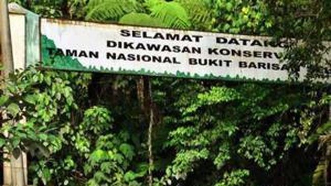 Inaforesta Tahura Wan Abdul Rachman