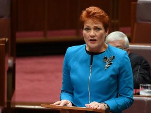 Bikin Marah! Politisi Anti-Islam Pakai Burqa di Parlemen Australia