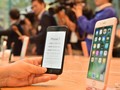 iPhone Tetap Berfungsi Setelah Tenggelam 48 Jam di Laut