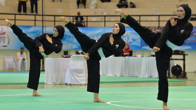 Hasil gambar untuk pencak silat