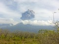 BNPB Pastikan Ratusan Wisatawan Selamat dari Letusan Barujari