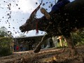 Festival Pchum Ben, Persembahan bagi Leluhur Kamboja