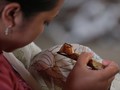Segores Cerita di Balik Sehelai Batik