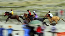 Memacu Adrenalin ala Pacu Kude Gayo