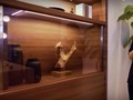 TV Masa Depan Panasonic: Tembus Pandang!