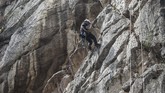 Untuk wisatawan yang suka bertualang di alam bebas, wahana Gunung Hawu di Bandung Barat dapat menjadi tujuan wisata selanjutnya. (ANTARA FOTO/Muhammad Adimaja)