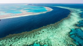 Pasangan Lansia Meninggal Bersama Kala Snorkeling