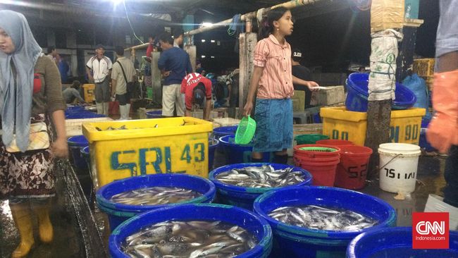 Mengintip Jual Beli Ikan Di Muara Baru Saat Malam Hari