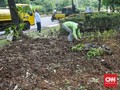 Taman Balai Kota Jakarta Rusak, Ahok Maafkan Pendemo