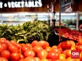 Pemerintah Gandeng Importir Serap Produksi Hortikultura