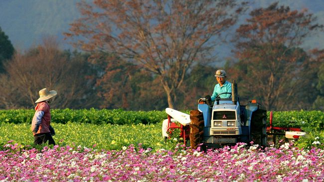 5 Cara Bekerja Sambil Liburan di Luar Negeri