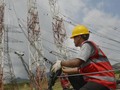Dirut PLN Jelaskan Kronologi Mati Listrik Massal ke Jokowi