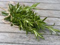 Rosemary, Daun Rempah 'Bumbu' Panjang Umur