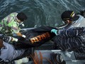 Kapal Polres Labuhanbatu Tenggelam, Sejumlah Personel Hilang