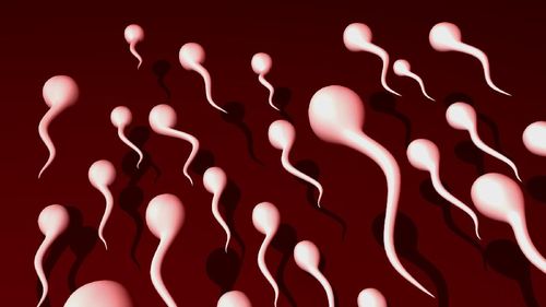 Diet yang Dianjurkan untuk Pria Agar Sperma Jadi Berkualitas Diet yang Dianjurkan untuk Pria Agar Sperma Jadi Berkualitas